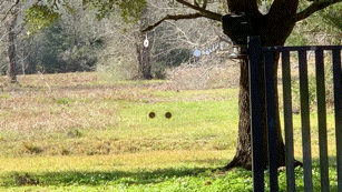 37C5F97D-018B-43B0-9D6A-84FC263A5C5A.1612174447.gif