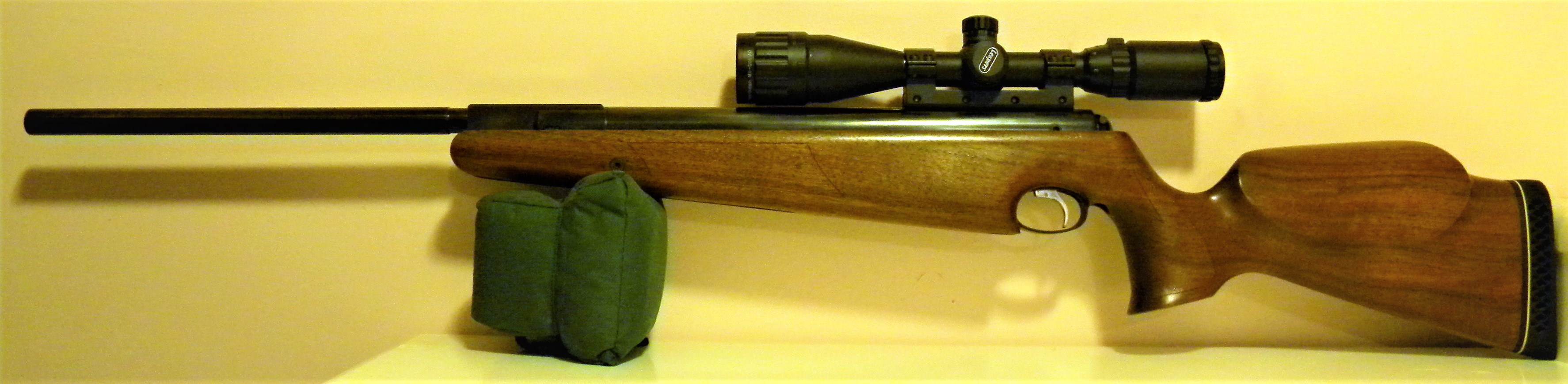 380 AA Pro Elite custom.JPG