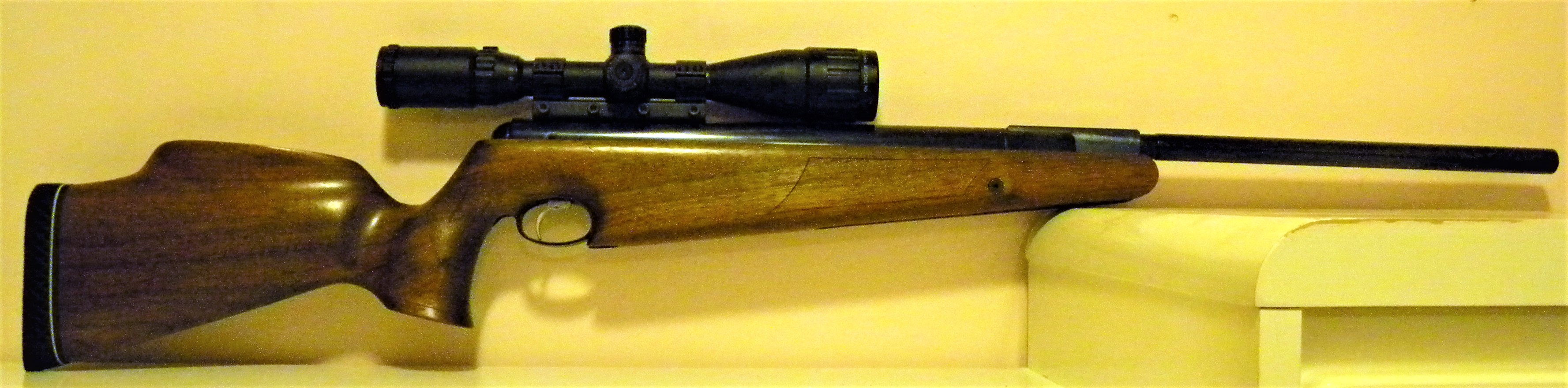 381 AAPro Elite custom.JPG