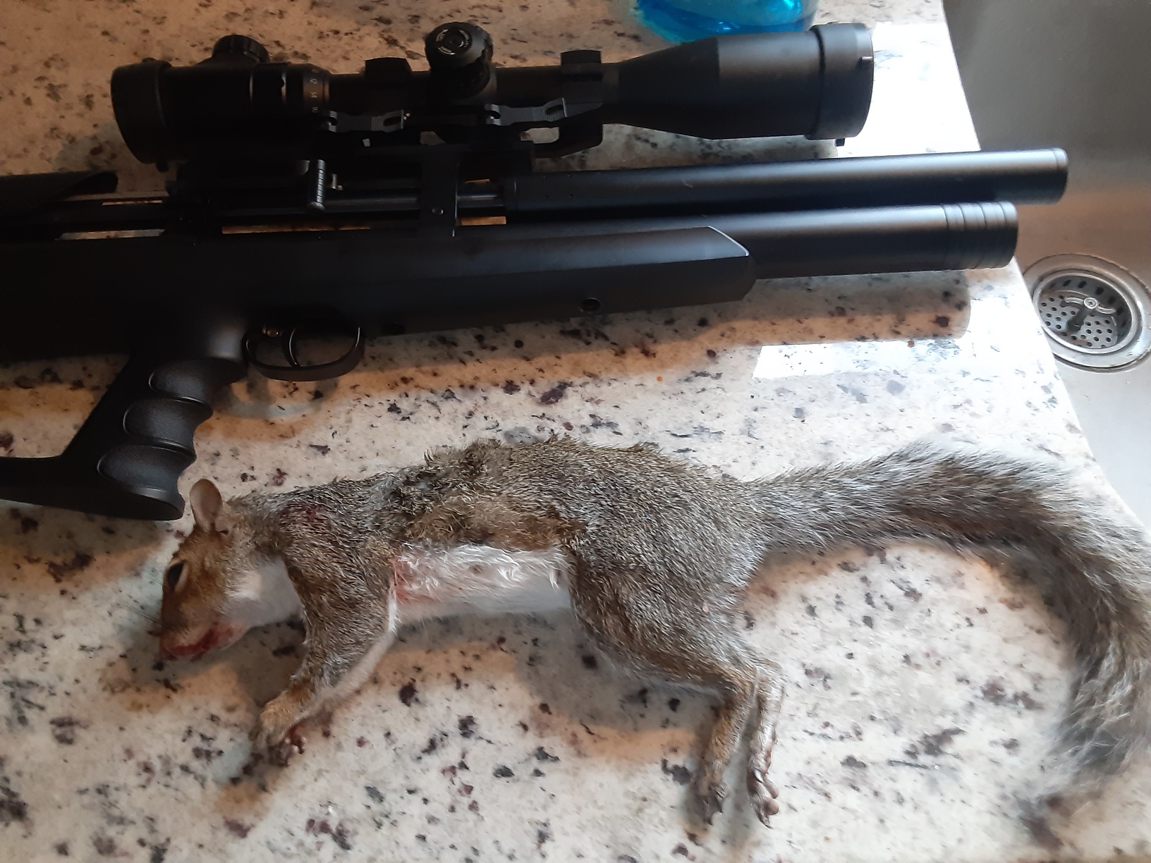 39-1 entry above shoulder.jpg