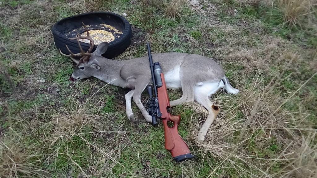 3er venado en comedero Tio Tacho 11 ene 2019.1614476670.JPG