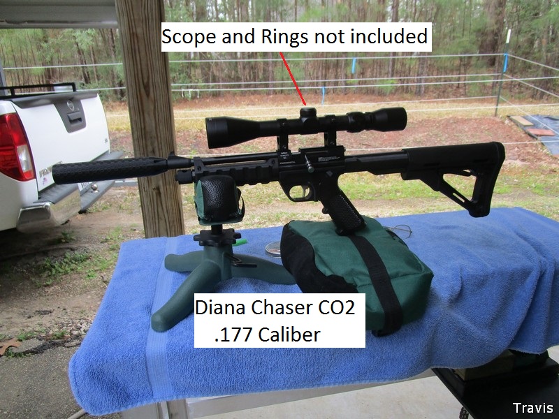 4.Diana Chasser.jpg