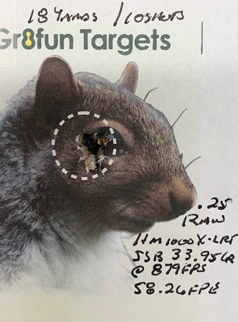 4 - target.jpg