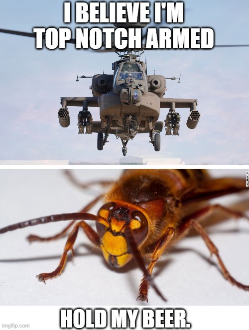 40an59.jpg
