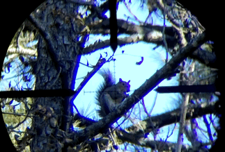 432B04DB-625C-4ABB-94BF-B23C4B42719E.1605464877.gif