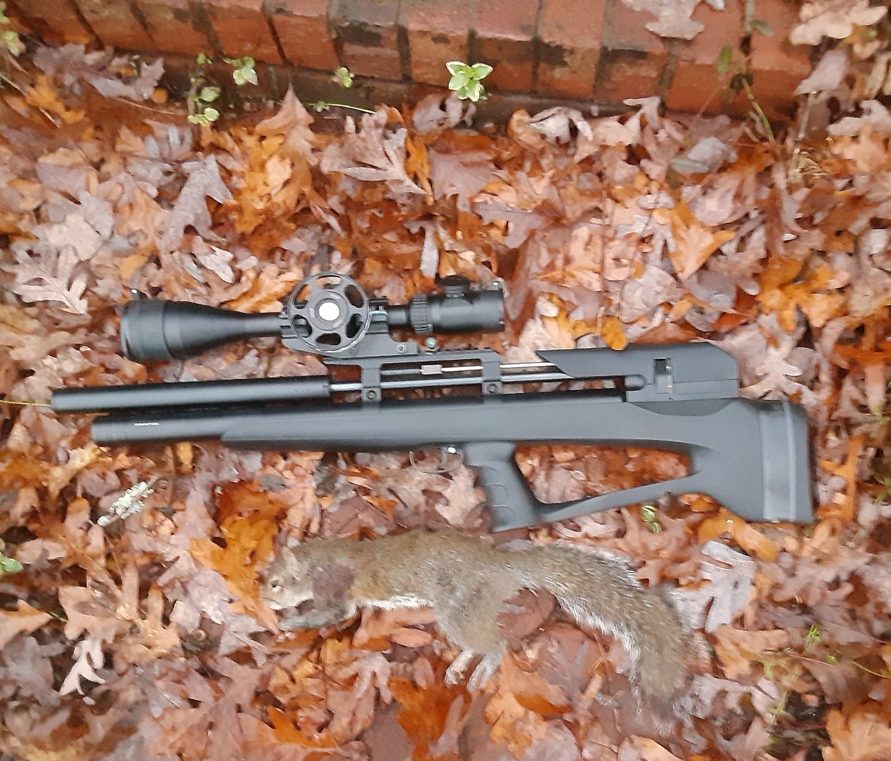 44.jpg