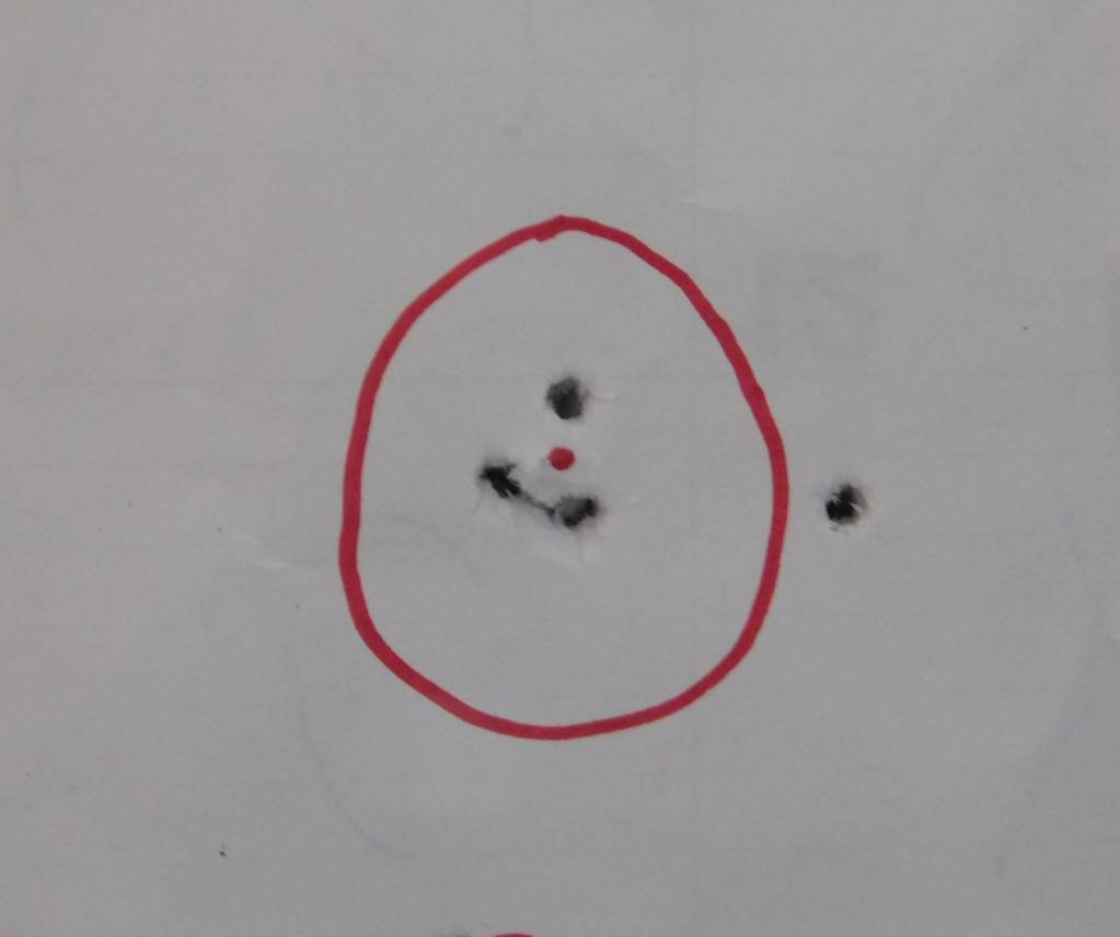 458 R9 .20 55 yards .352 4 shots.1609626864.JPG