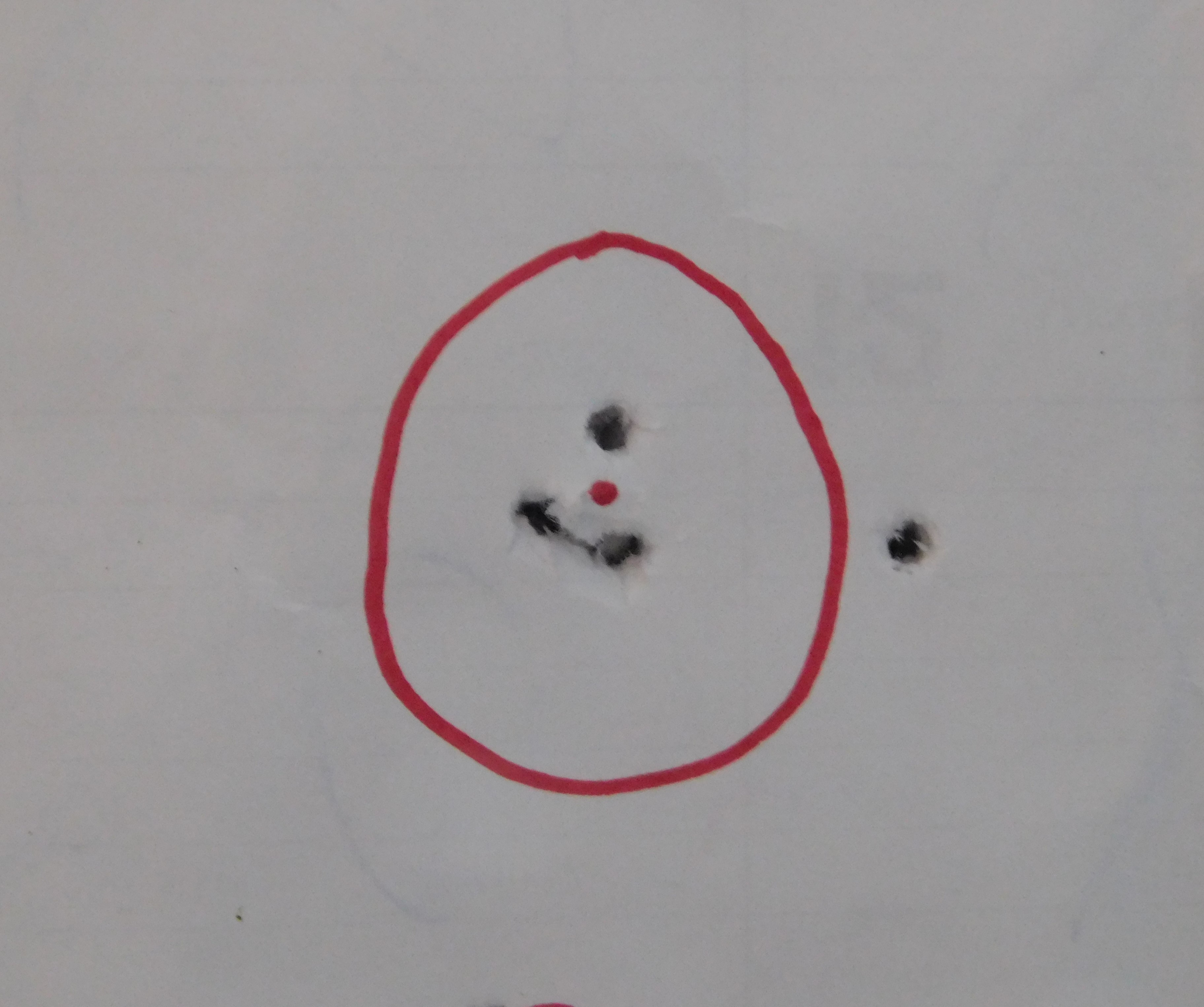 458 R9 .20 55 yds .352 4 +1 shots.JPG