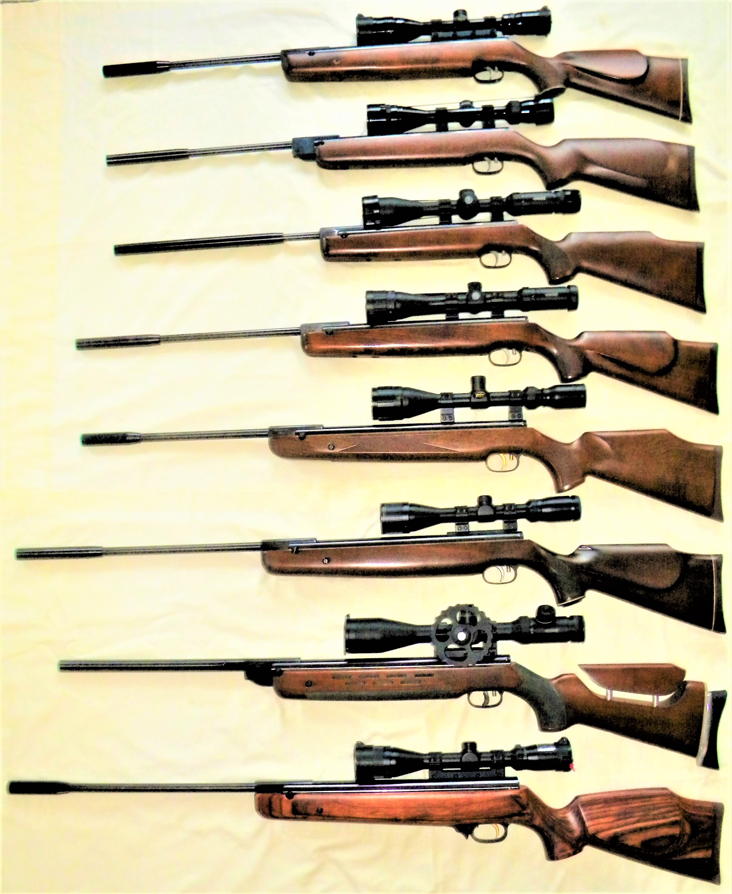 464 Beeman R series- R1, R6, R7, R8, R9, R10, R11, RX2.JPG