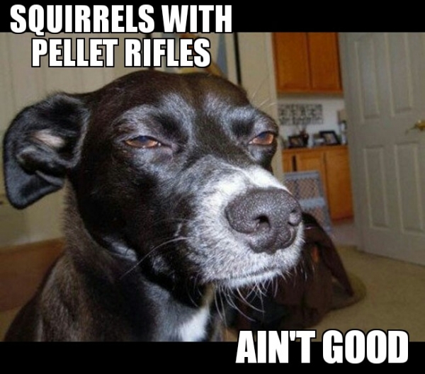 473be8d244bffdc20b349f521b5f1a88.jpg