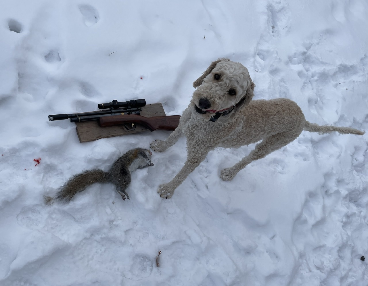 48929420-01E6-43F6-8C8E-852026733CE1.jpeg