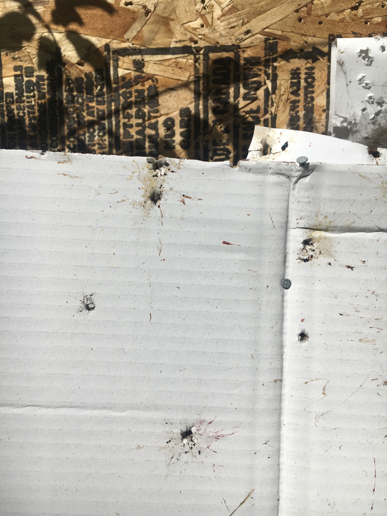 4A456567-D248-4A0F-92C0-B6778F8CE365.jpeg