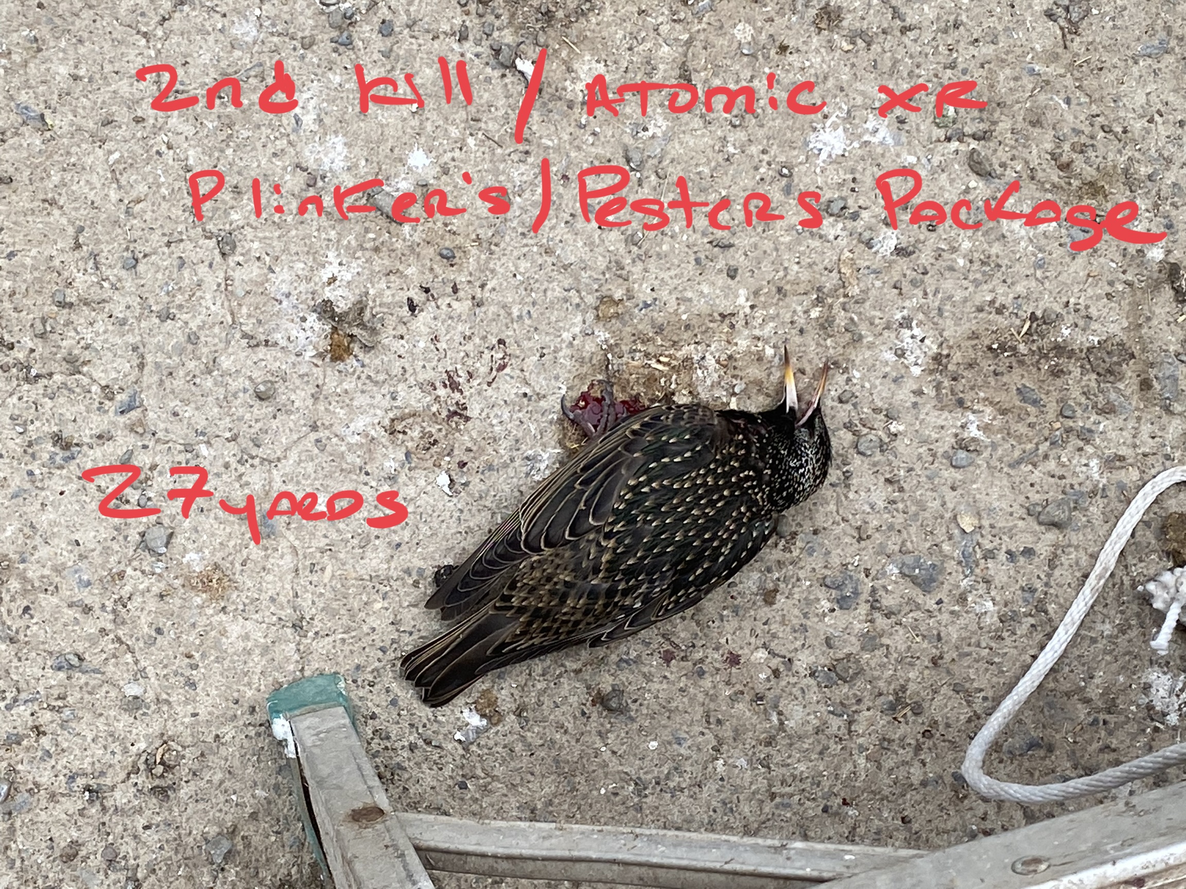 4D331699-A718-4463-AB4E-F9A2C9E1EE56.jpeg