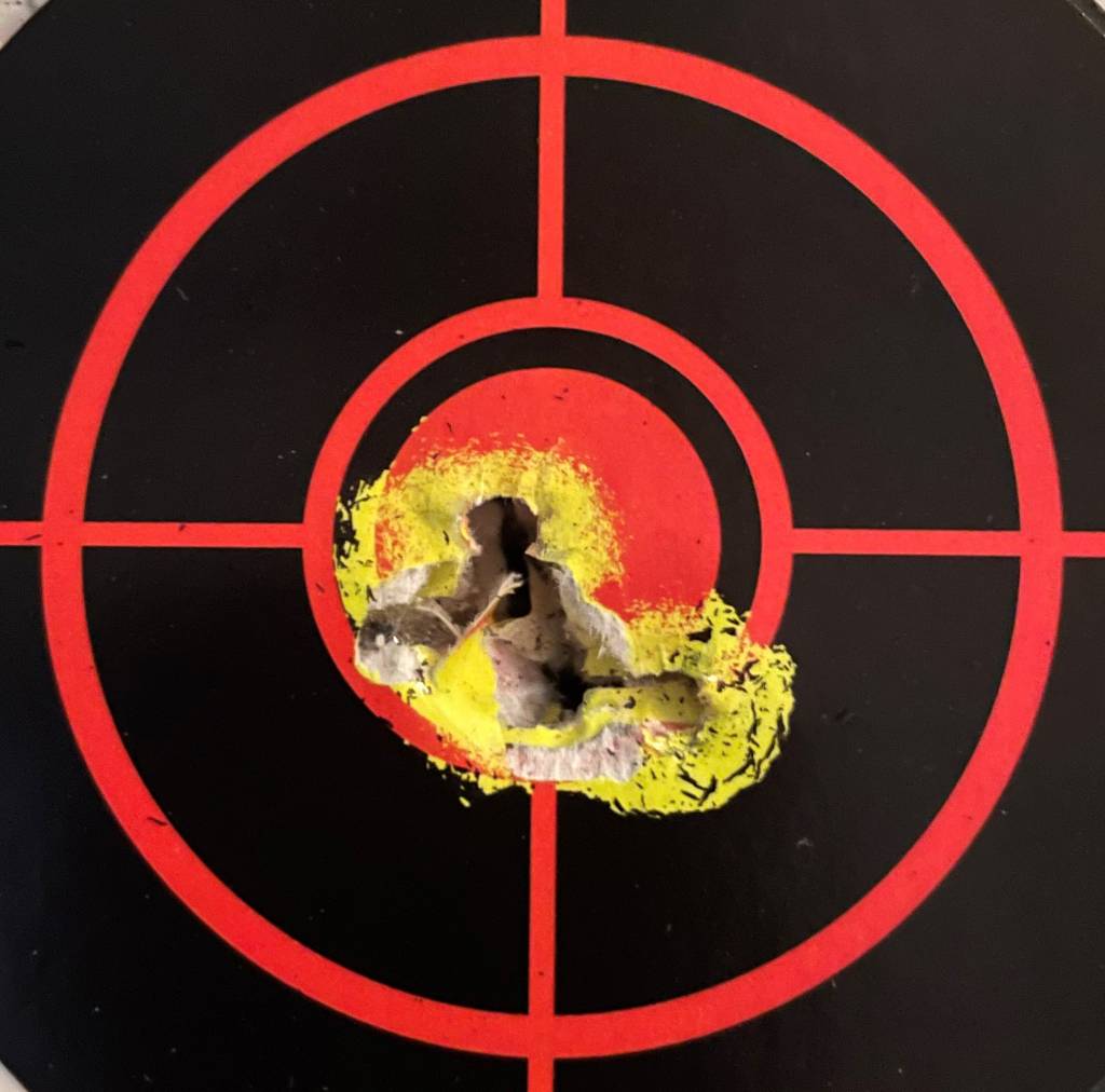 5 shots  25 7-12-2021.1626377467.jpg