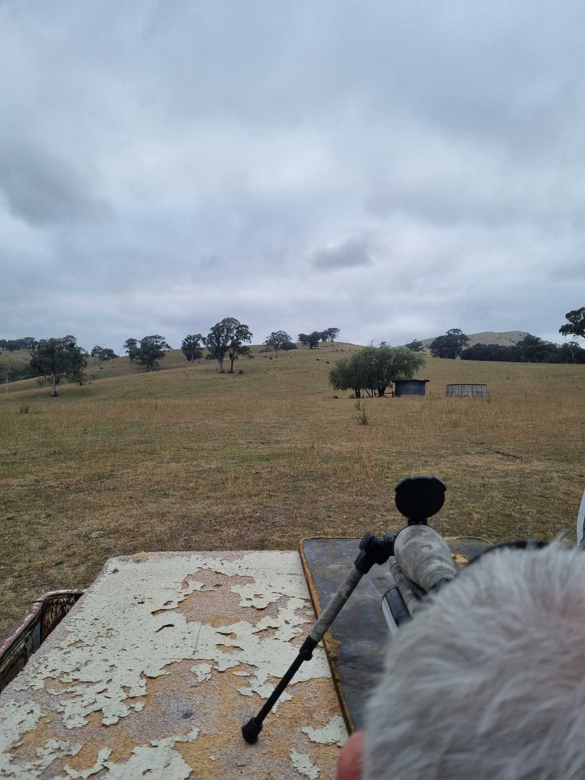 500YDS-LOOKING-UP.jpg