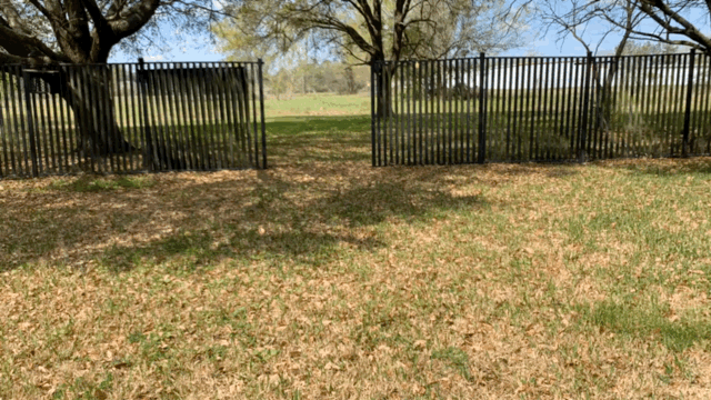 5730C10A-DCCC-4BB1-8F6A-BD829FDAF475.1616465517.gif