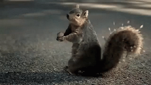 5E928058-83F7-4FFE-A544-8CDFA7ADC38F.1639617343.gif