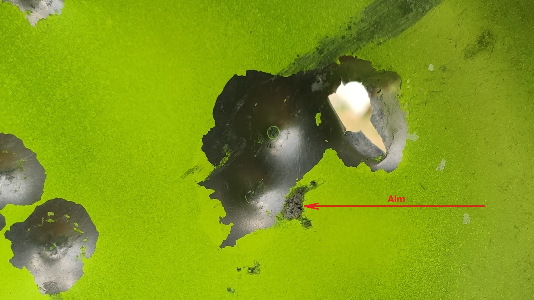 5G115M.jpg