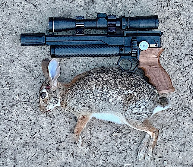 61 yd GK1 bunny.jpg