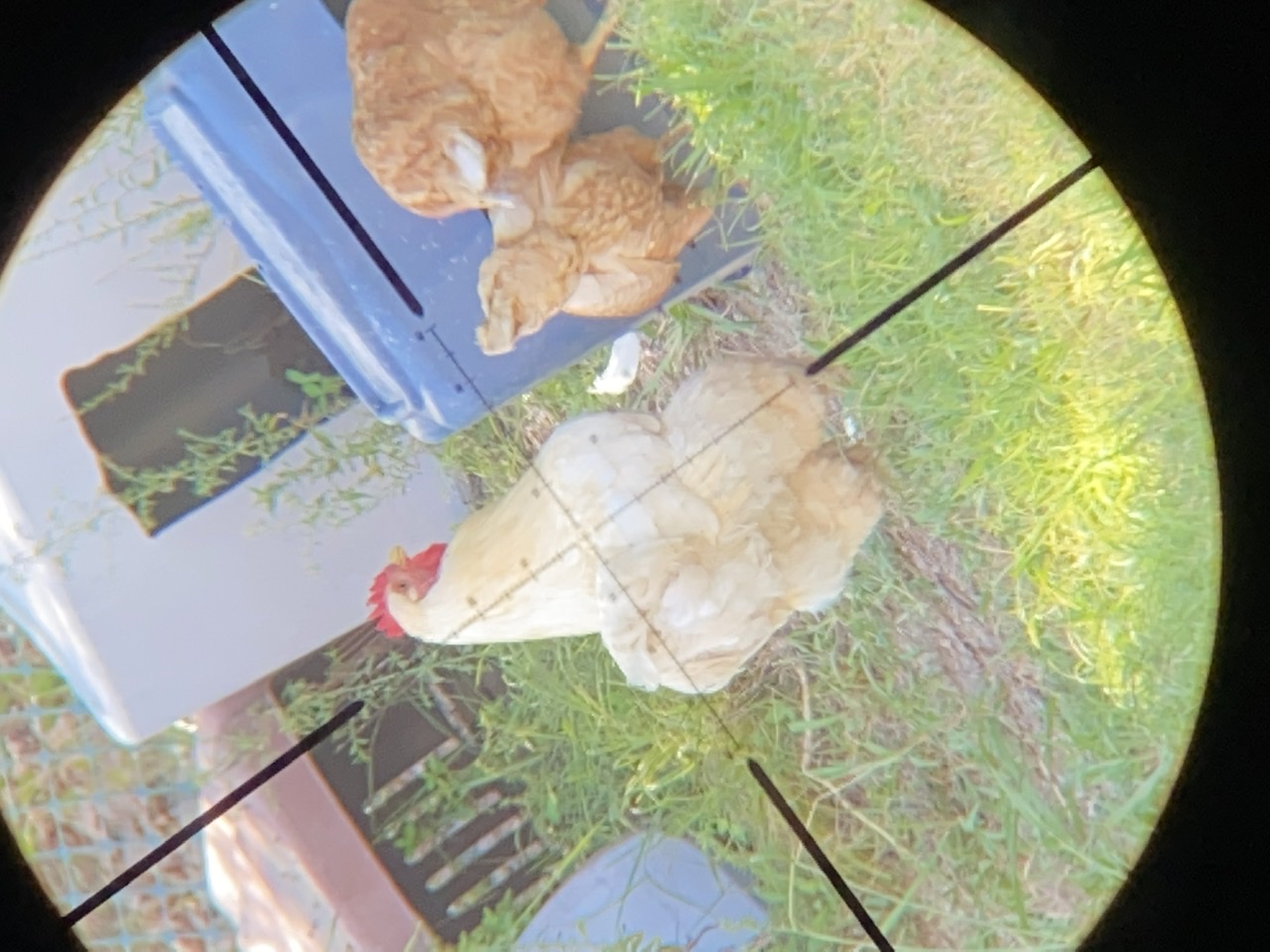 7D87DE37-57E2-4958-81AE-4A3634971A04.jpeg