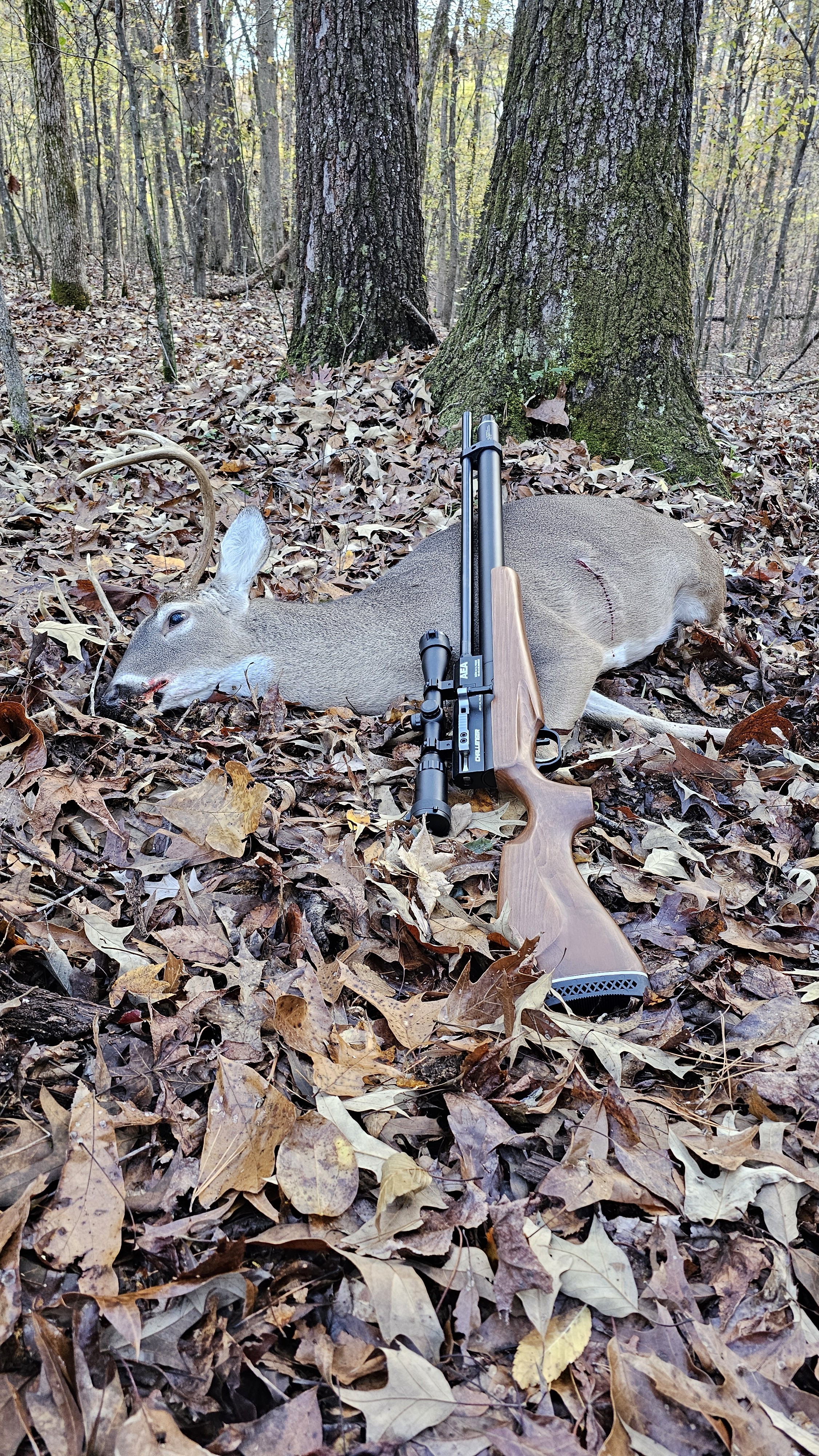 7pt-AEA-457--.jpg