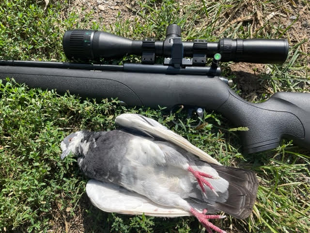 80 yds Maxi.jpg