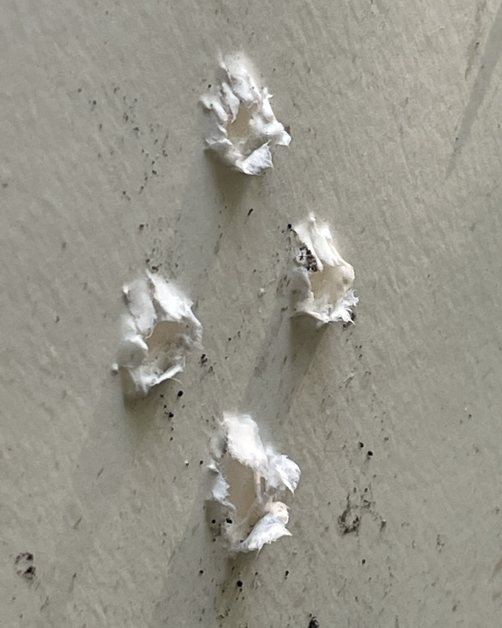 80F89D0D-455E-4CEF-A83E-3AA7D54A2E17.1633465057.jpeg