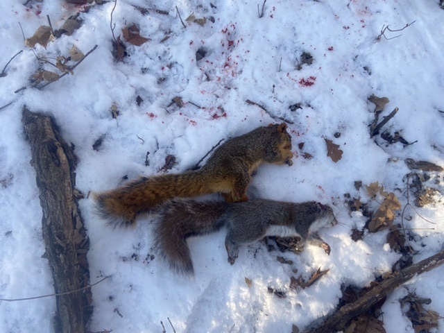 8239367A-2511-493D-B2F5-DEC926DB12F3.1642382766.jpeg