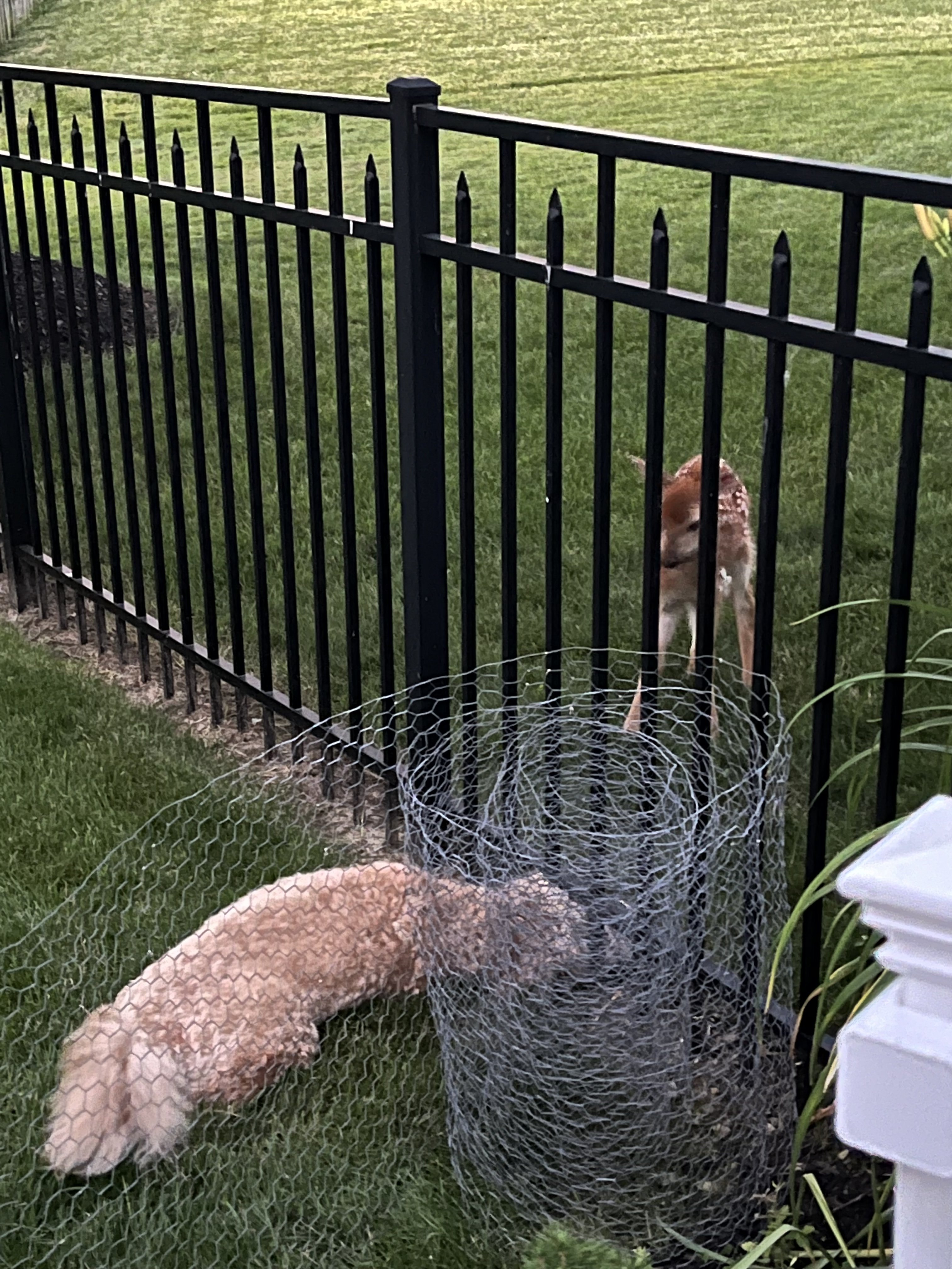 82B31605-AFAF-4146-91D0-5470554BDDE8.jpeg
