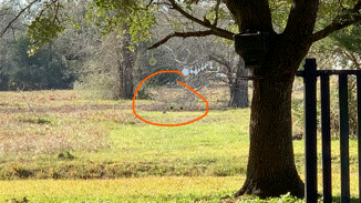 89D90106-77D7-46F2-A904-699FA5BAF16E.1612175031.gif