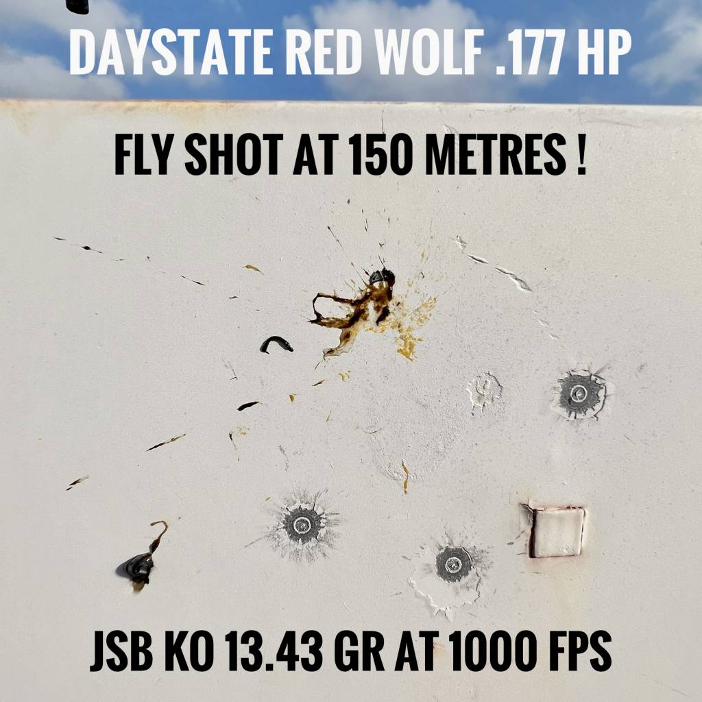 8A701FAA-CB7E-4425-BC01-FFFEEF816E1D.1633944437.jpeg