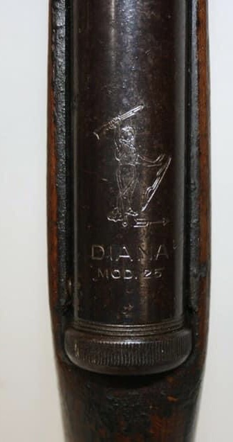 8B25036D-4ADB-4F09-9224-BE3007779976.1636254947.jpeg