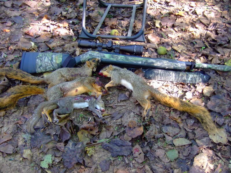 9-17-2010hunt001 (1).jpg