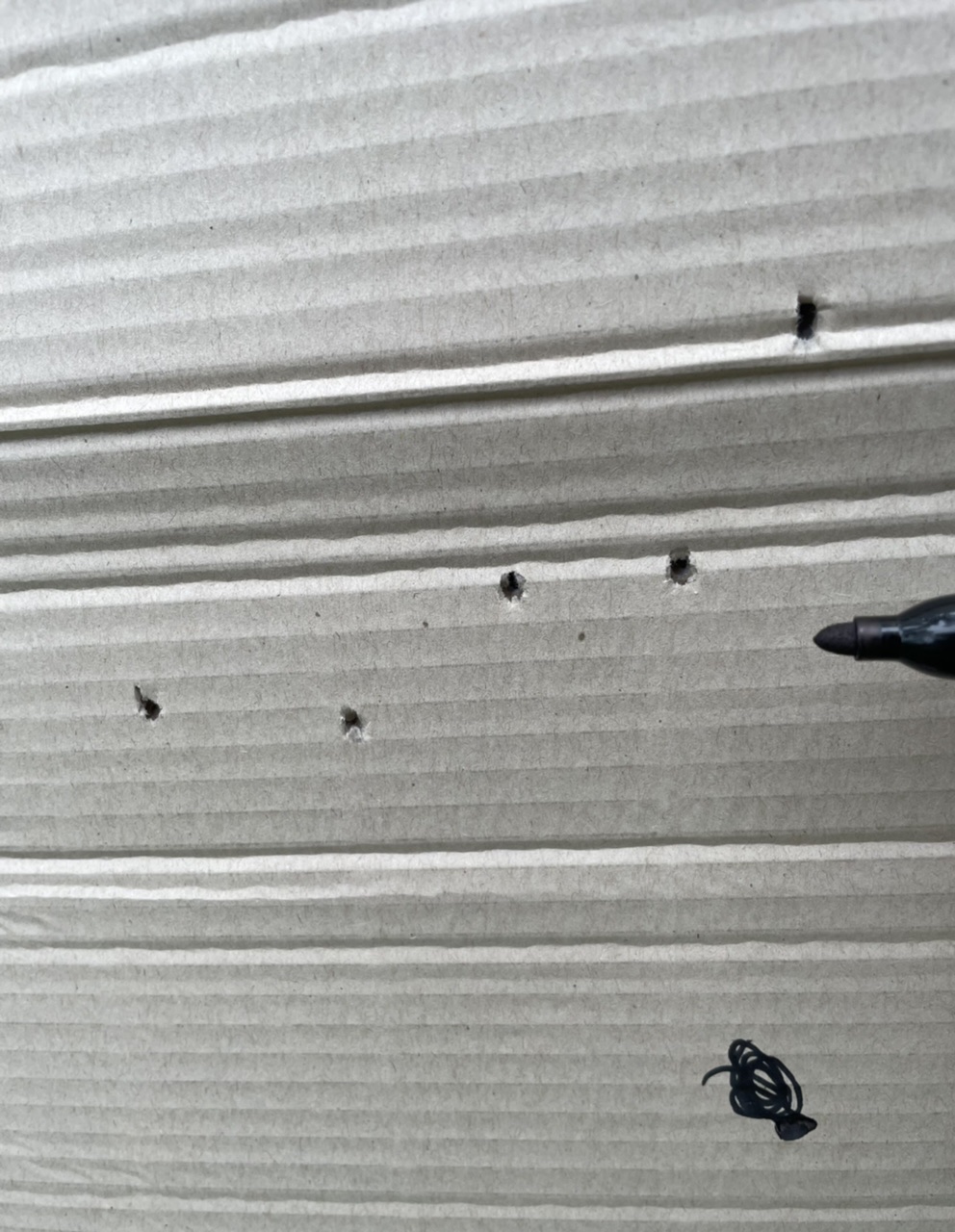 9169F057-BF04-4D5D-938E-418C78628842.1624724516.jpeg