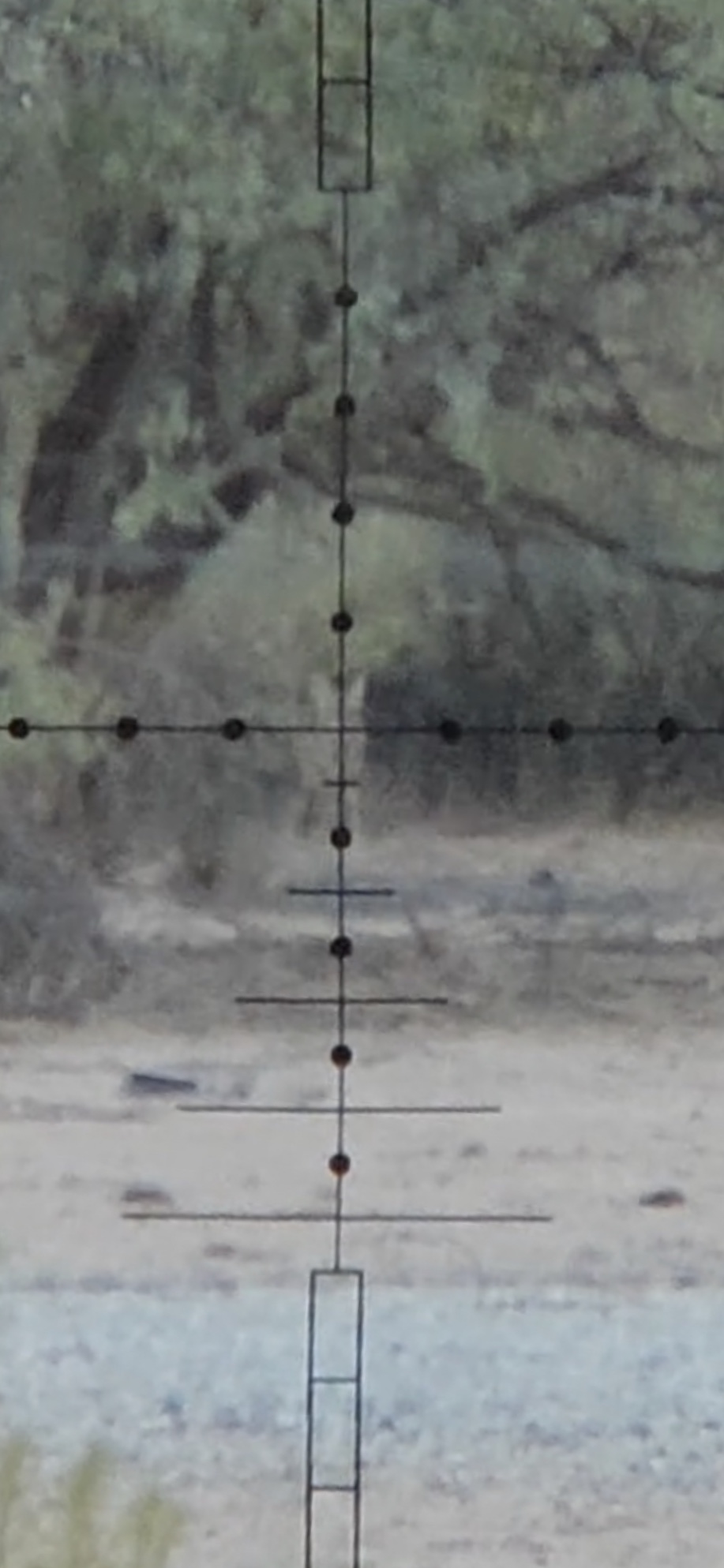 930D6489-CA74-467D-9D97-7D22FA4DD5AF.1605915316.jpeg