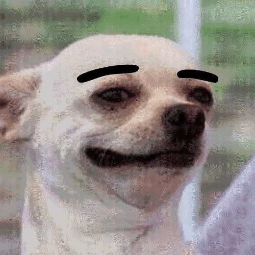 93410338-8a66-4ebd-83ae-b7bc3c1e0211_150805239068981.gif