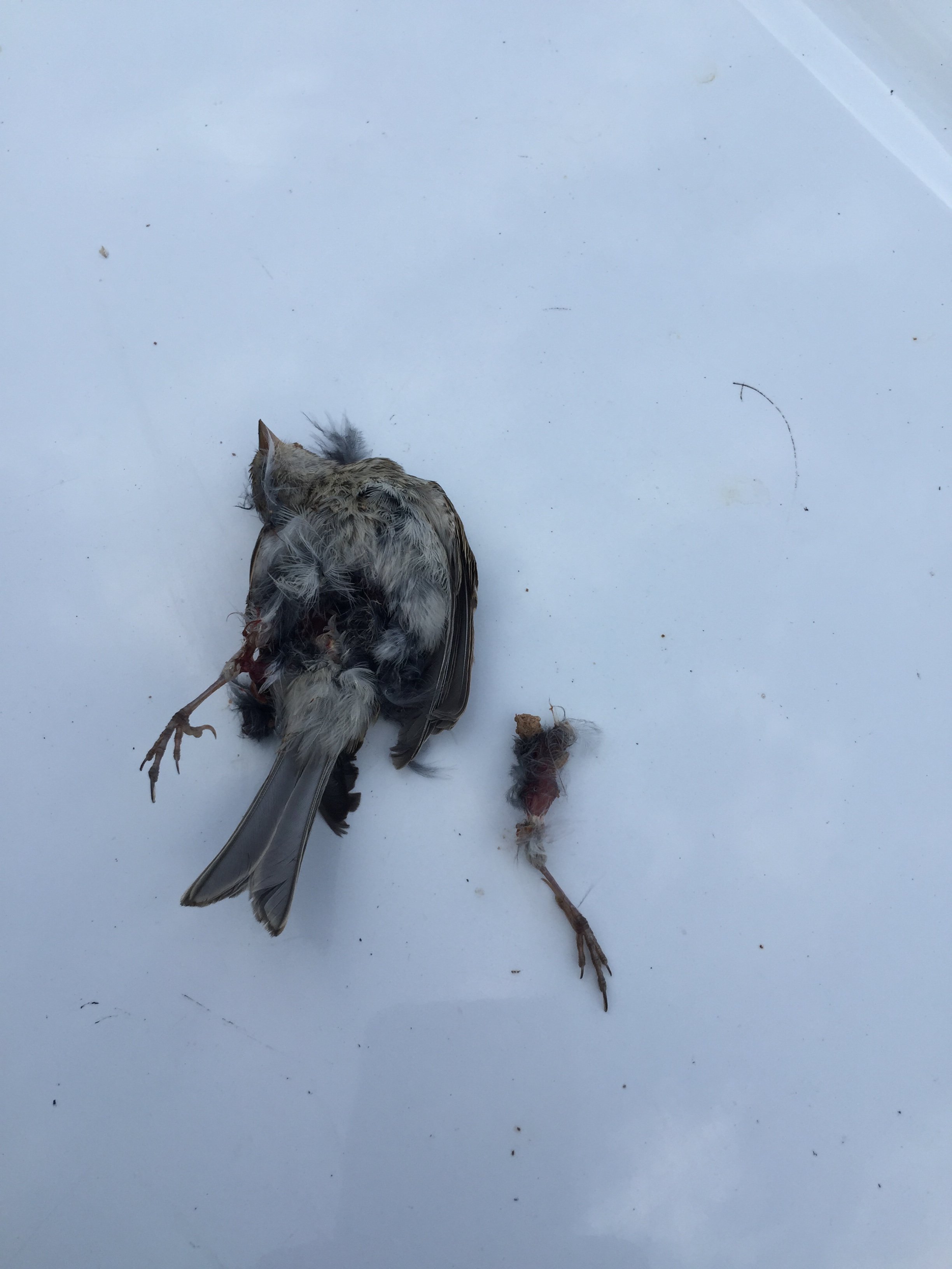 9677F0ED-3A2A-47F5-B60B-4EBD22AF7523.jpeg