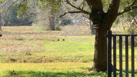 9D62EC33-1043-4B05-9A0E-B19080FA4868.1612174793.gif