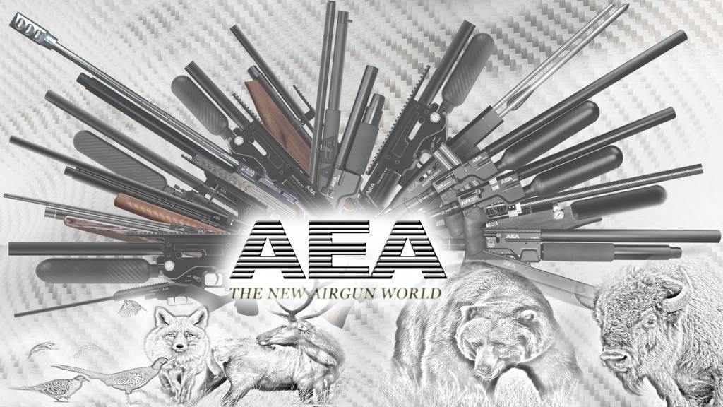 AEA.1598983029.jpg
