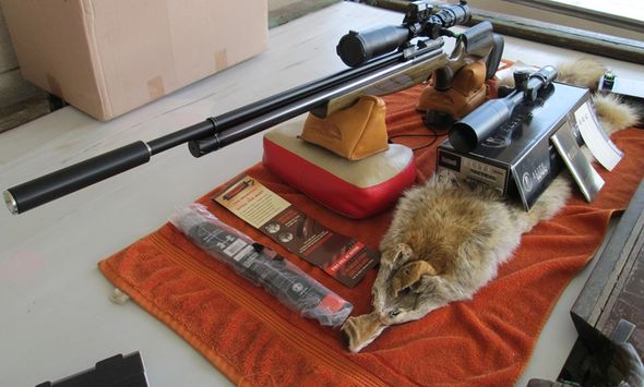 air arms.1608915484.jpg