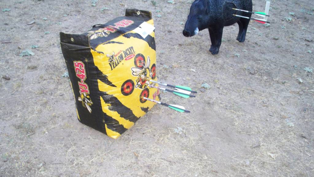 Air rifle arrow targets.1623623652.JPG