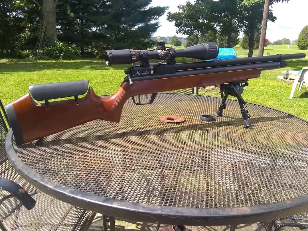 air rifle.jpg