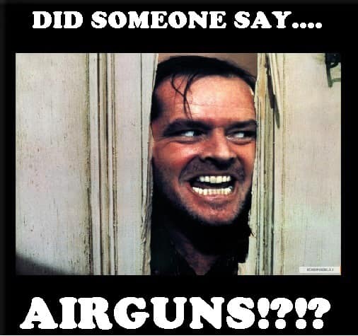 Airguns.1606930684.jpg