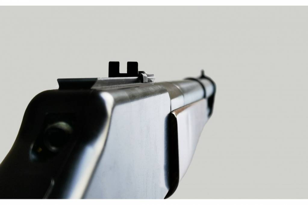 airguns-mustang.1614864070.jpg