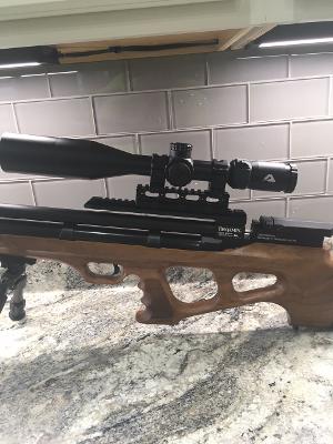 Akela 5.1627924373.jpg