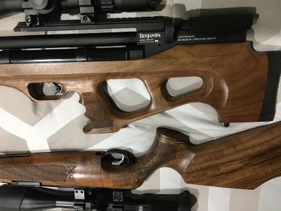 akela finish 1.1639628708.jpg