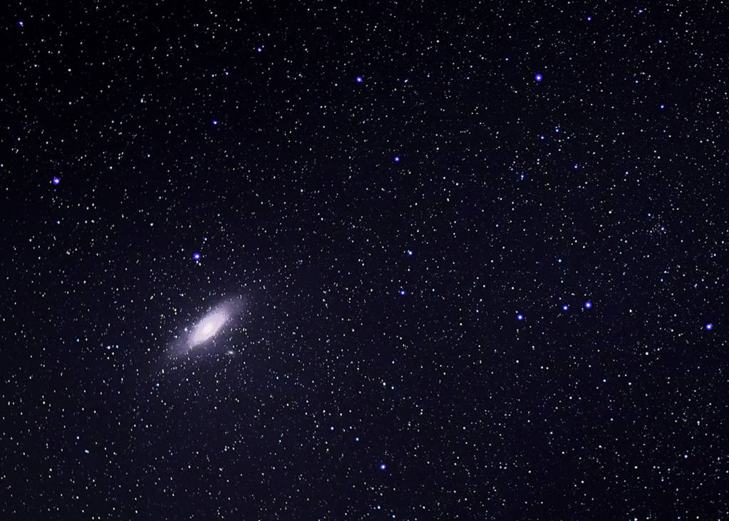 Andromeda_5x7acr.1642210075.jpg