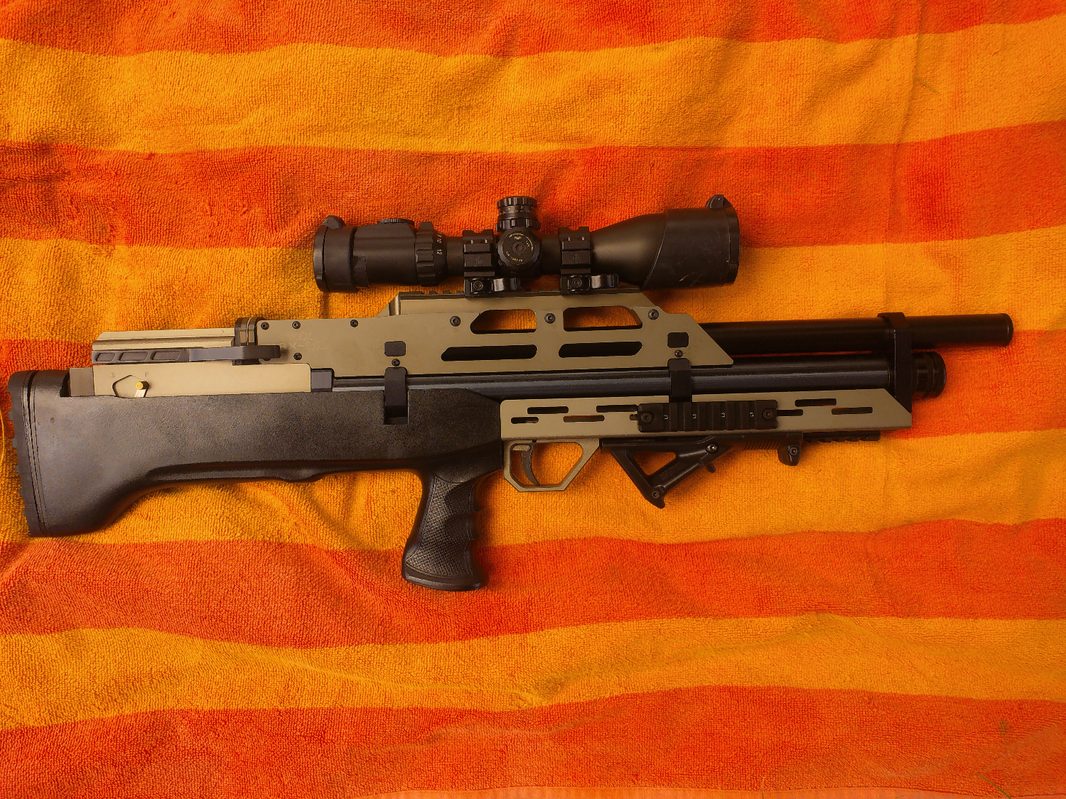 ANMP0011.jpg