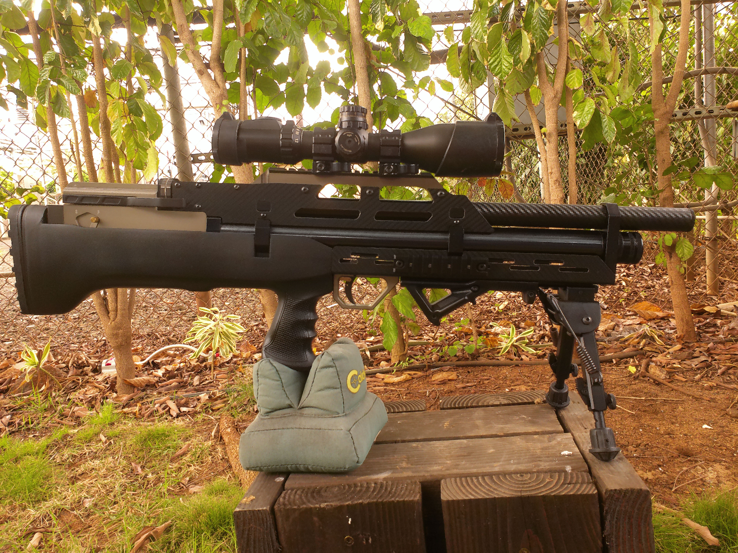 ANMP0012.jpg