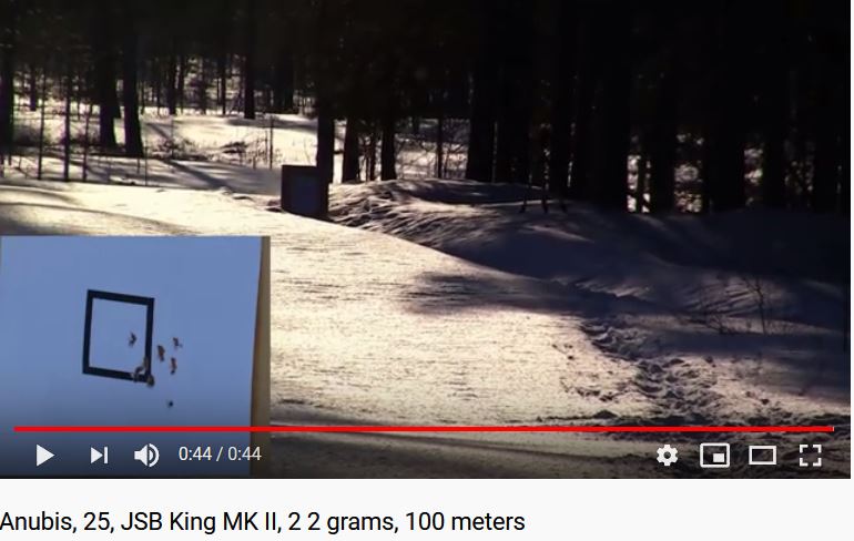 Anubis, 25, JSB King MK II, 2 2 grams, 100 meters.1600955438.JPG